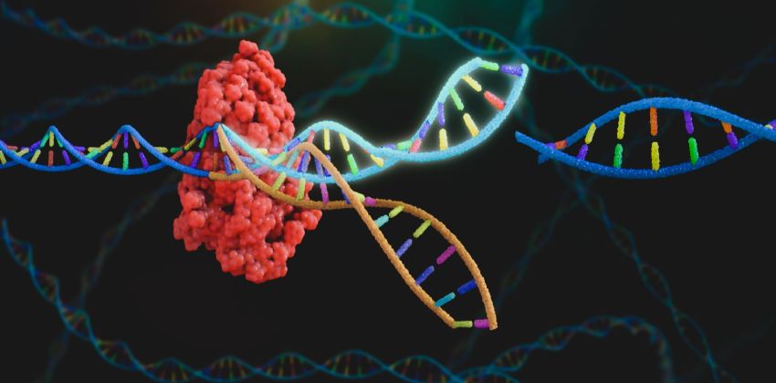 CRISPR ve Biyoteknoloji Çözümleri