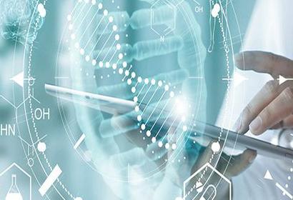 Prob Onarımı ve Endoskopi Onarımı